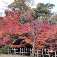 富山県　高岡古城公園