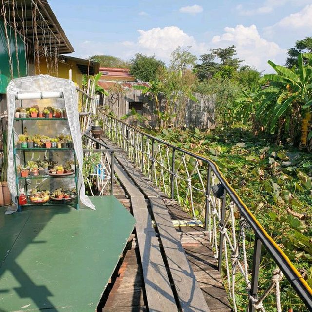 Oxyjaime ร้านลึกลับกับจานสุขภาพ 🥦🥬