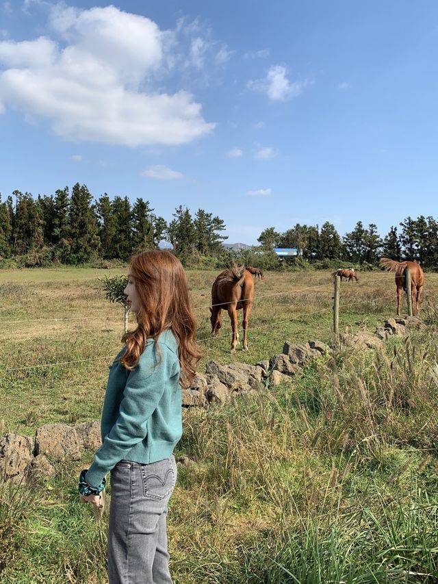 [성이시돌목장] 이국적인 제주 목장🐴