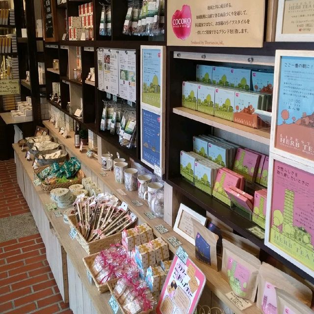 [神戸]短歌にも歌われた神戸の滝✨「布引ハーブ園」