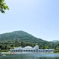 打卡位 小白鷺餐廳
