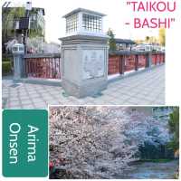 【兵庫   有馬温泉】サクラ咲きほこる日本の美🌸🌸🌸