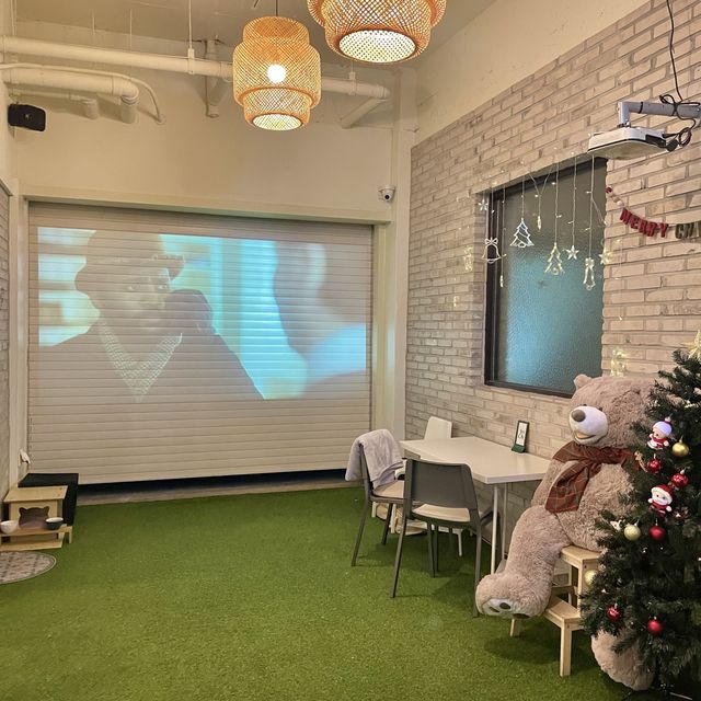 울산 쿠키 맛집, 케렌시아