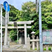 江ノ島　紫陽花と海