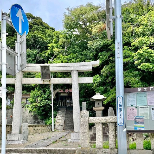 江ノ島　紫陽花と海