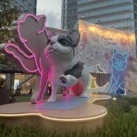 🐶狗狗都可以一齊做運動啦！