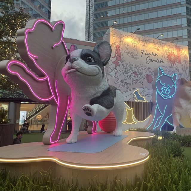 🐶狗狗都可以一齊做運動啦！