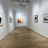 不同素材的展覽館！