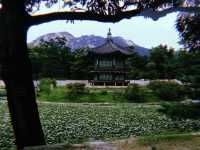 Gyeongbokgung Palace - First Day in Korea 