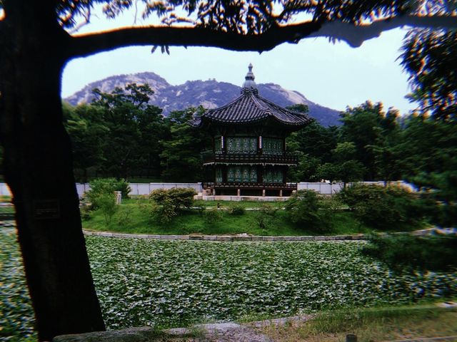 Gyeongbokgung Palace - First Day in Korea 