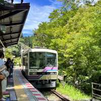 【京都】夏の涼を求めて訪れたい場所