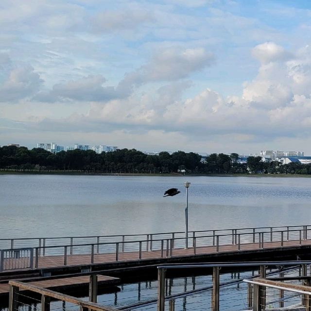 Take a walk @ Bedok Reservoir Park