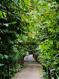 세계 최고의 무료 식물원 Singapore Botanic Gardens