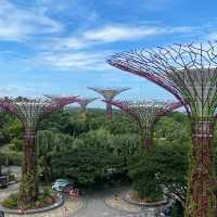 Gardens by the bay