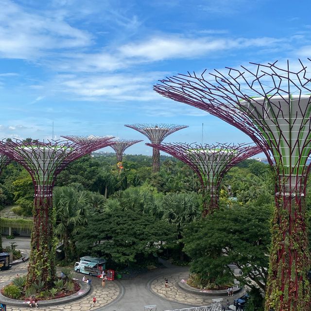 Gardens by the bay