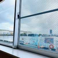 マグロが楽しめる魚市場🐟