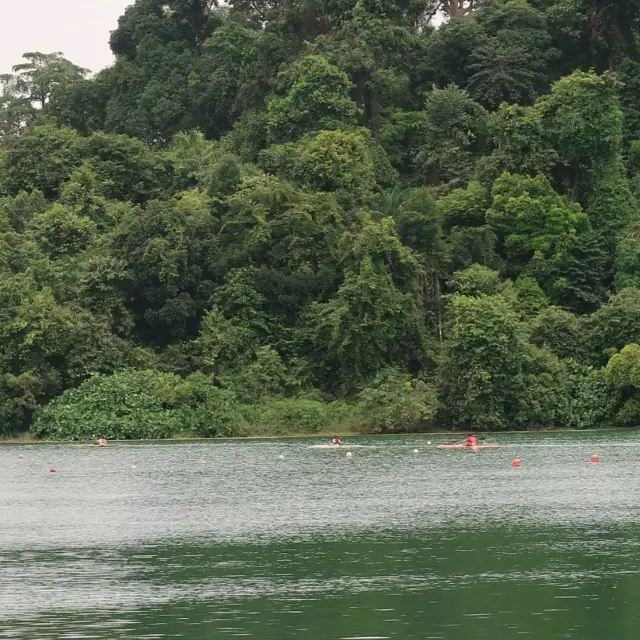 MacRitchie Nature Park