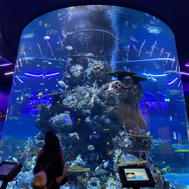 Under the SEA Aquarium SG