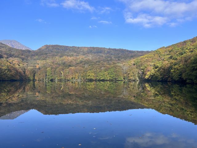 【青森】リフレクションの絶景✨蔦沼の紅葉
