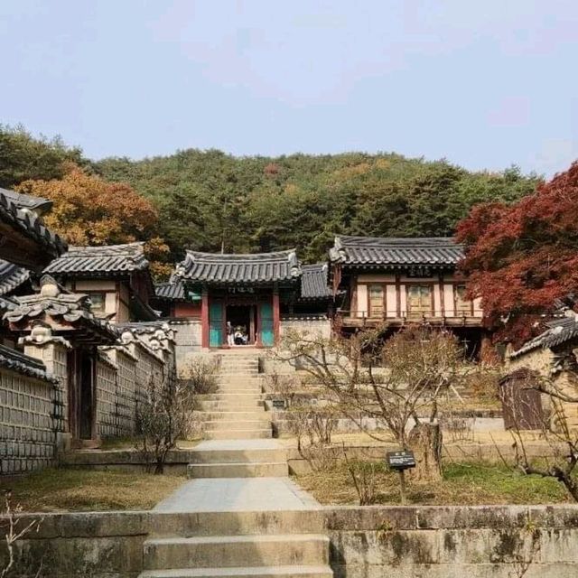 단풍나무 줄지어선 도산서원