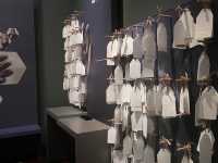 What’s inside the Perth Museum!