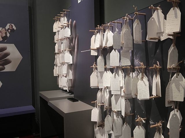 What’s inside the Perth Museum!