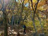 Autumn 🍂 foliage with lovely hiking trail 