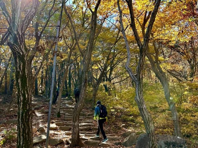 Autumn 🍂 foliage with lovely hiking trail 