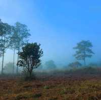 ทุ่งแสลงหลวง หนองแม่นา