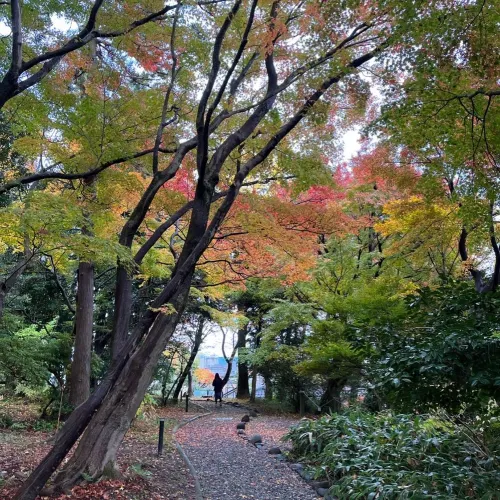 【石川】紅葉と建築美!鈴木大拙館