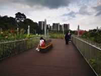 Jurong Lake Floating Wetlands - Part 1