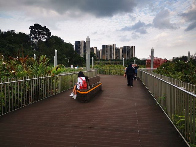 Jurong Lake Floating Wetlands - Part 1
