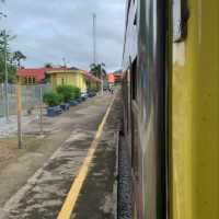 Trip Jungle Train In Malaysia 