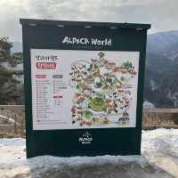 草泥馬樂園Alpaca World!!