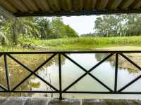 ร้านอาหารพื้นเมืองริมน้ำ จ. สุราษฎร์ธานี