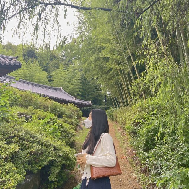 [눈이 힐링하는 담양 여행지]