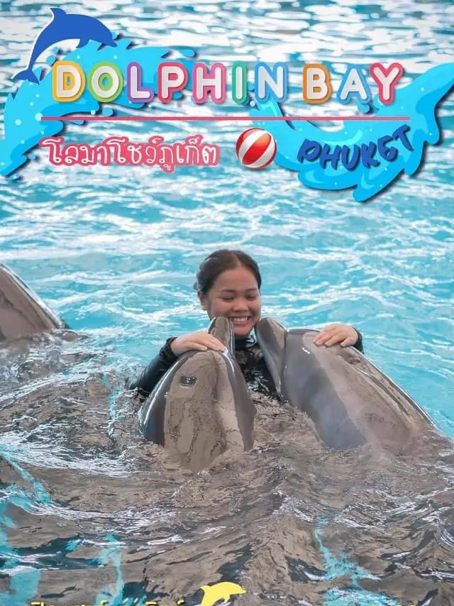  โชว์โลมาภูเก็ต 🐬