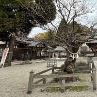 富山県高岡市　射水神社