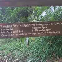 Macritchie Treetop Walk