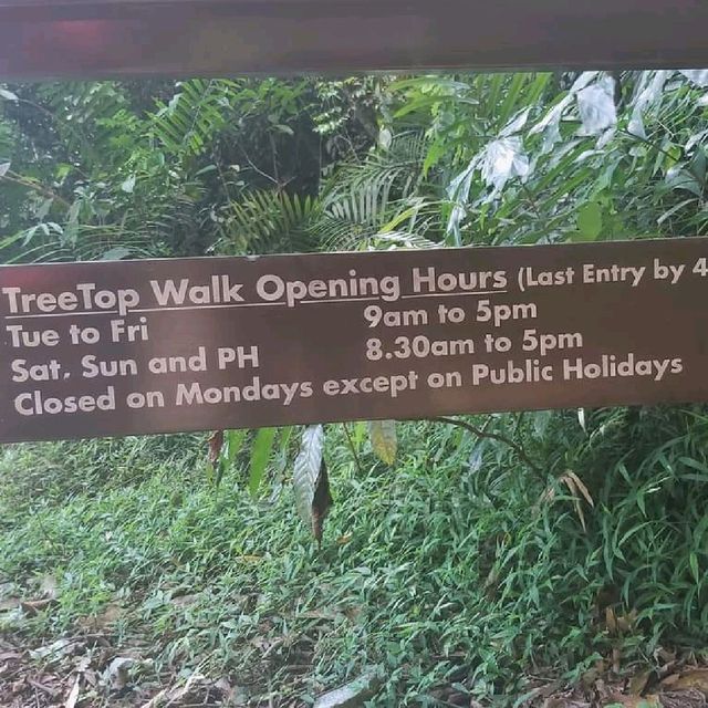 Macritchie Treetop Walk