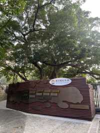 💕於市區中細味廣東文化展覽🤩