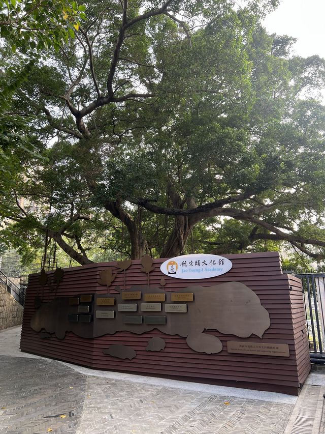 💕於市區中細味廣東文化展覽🤩