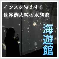 インスタ映えする世界最大級の水族館、海遊館！