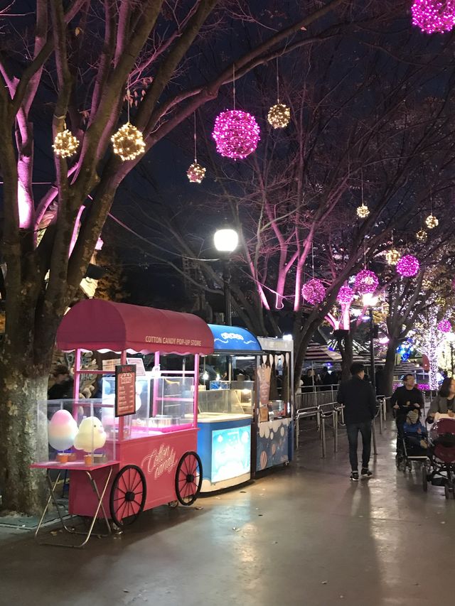 대구에서 포토존이 가장 많은 곳 🌸