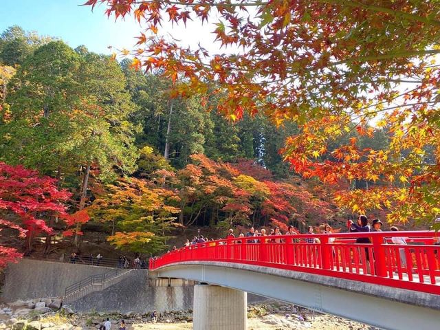 日本香嵐溪絕美紅葉採點