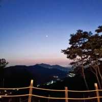 카페 뷰 무슨일이야👀 블루베리 농장 옆 예쁜 카페, 안녕감곡☕