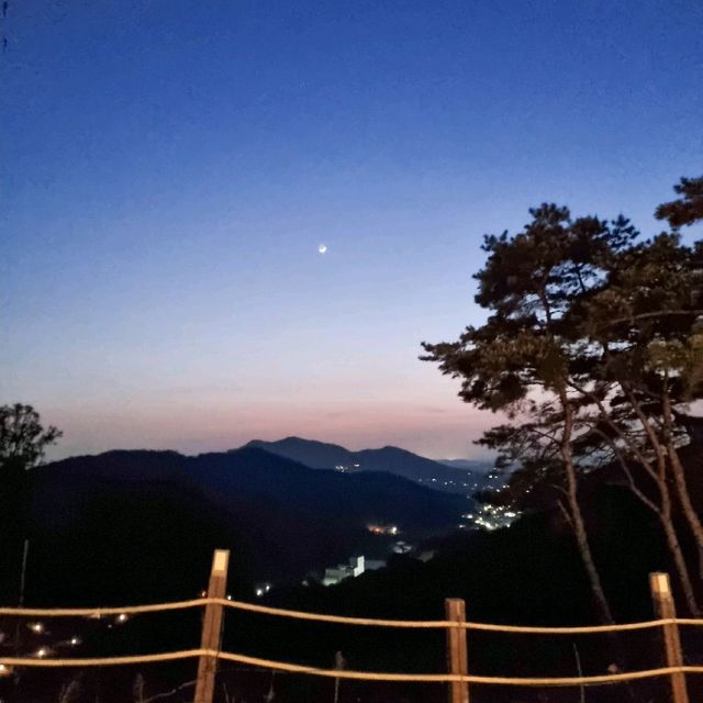카페 뷰 무슨일이야👀 블루베리 농장 옆 예쁜 카페, 안녕감곡☕