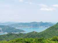 鰂魚涌坳
