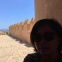La Alcazaba วังเก่าใน Almeria