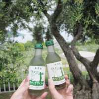 香川＊小豆島オリーブ公園